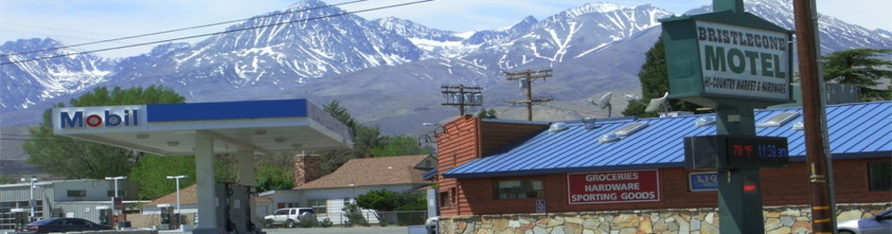 Bristlecone Motel Big Pine Dış mekan fotoğraf