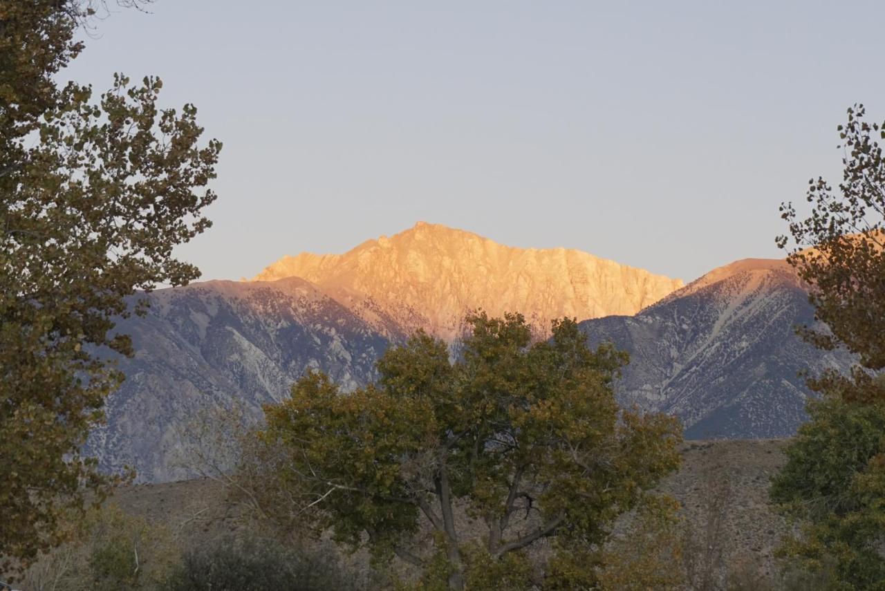 Bristlecone Motel Big Pine Dış mekan fotoğraf